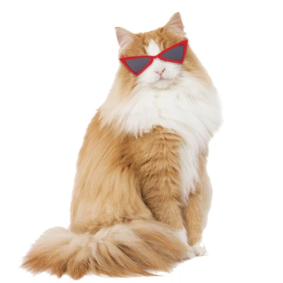 スポットペットメガネ猫犬サングラステディ人格面白いヘッドウェアペットアクセサリー